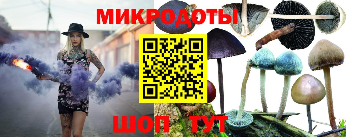 Кизилюрт  Псилоцибиновые грибы прущие грибы  Вход с VPN 